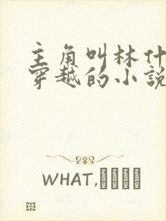 主角叫林什么的穿越的小说