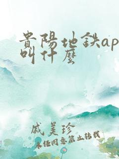 贵阳地铁app叫什么