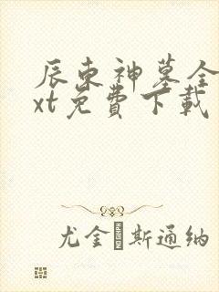 辰东神墓全本txt免费下载