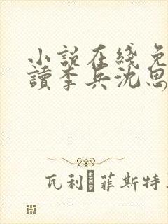 小说在线免费阅读李兵沈思