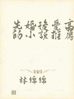 先婚后爱高干文的小说推荐