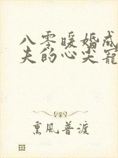 八零暖婚成为前夫的心尖宠