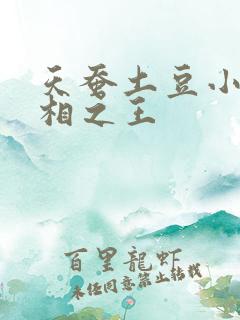 天蚕土豆小说万相之王