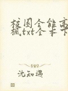 校园全能高手季枫txt全本下载