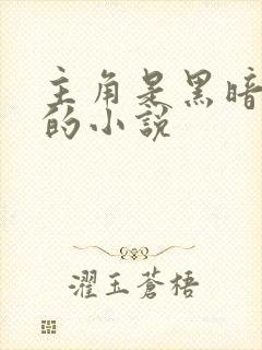 主角是黑暗扎基的小说