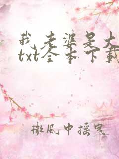 我老婆是大明星txt全本下载