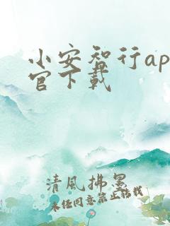 小安智行app官下载