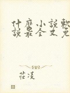 什么小说软件小说最全又免费