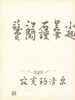苏汐石昊小说免费阅读笔趣阁