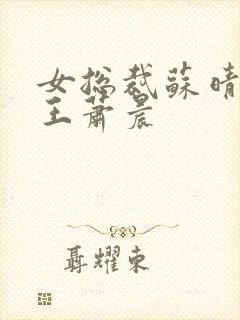 女总裁苏晴与兵王萧晨