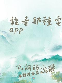 能看那种电影的app