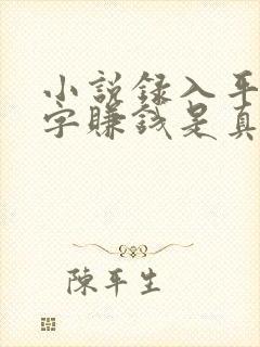 小说录入平台打字赚钱是真的吗