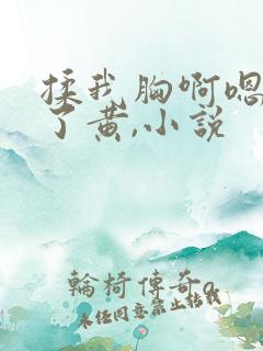 揉我胸啊嗯出奶了黄,小说