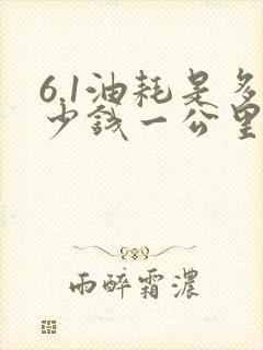 6.1油耗是多少钱一公里 6.1油耗是多少钱一公里