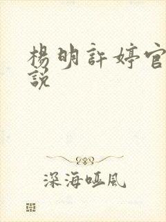 杨明许婷官场小说