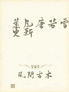 叶凡唐若雪王婿更新