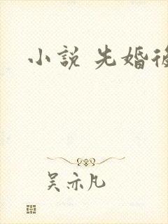 小说 先婚后爱