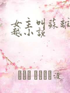 女主叫苏离的穿越小说