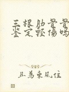 三根肋骨骨折能鉴定轻伤吗