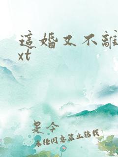 这婚又不离了txt