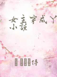 女主穿成丫鬟的小说