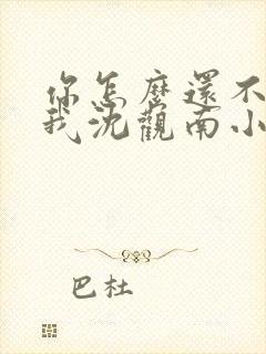 你怎么还不来哄我沈观南小说免费阅读