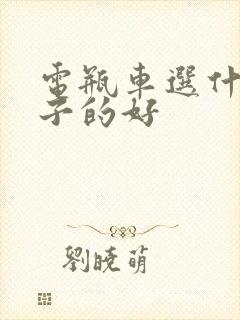 电瓶车选什么牌子的好