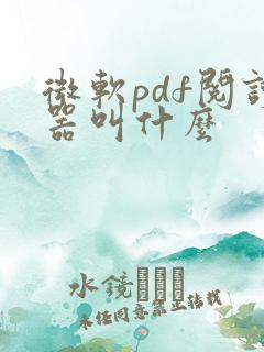 微软pdf阅读器叫什么