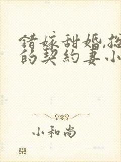 错嫁甜婚,总裁的契约妻小说