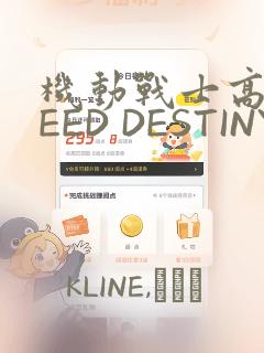 机动战士高达SEED DESTINY ASTRAY