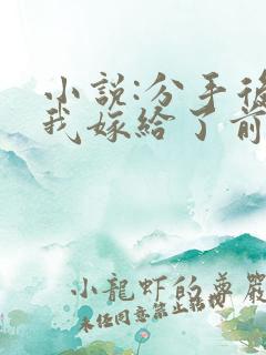 小说:分手后,我嫁给了前男友的小叔