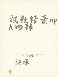 调教精壶np高h肉辣