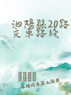 泗阳县20路公交车路线