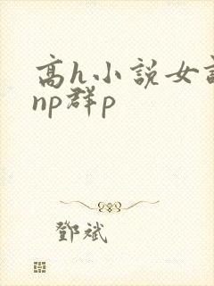 高h小说女调教np群p