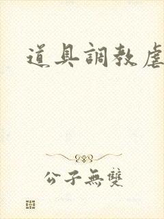 道具调教虐身文