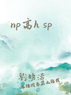 np高h sp