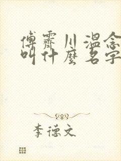 傅霁川温念小说叫什么名字