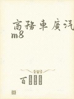商务车广汽传祺m8 商务车广汽传祺m8