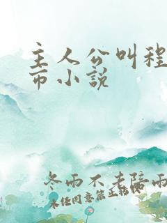 主人公叫程浩都市小说