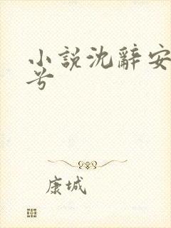 小说沈辞安乔若兮