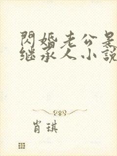 闪婚老公是豪门继承人小说