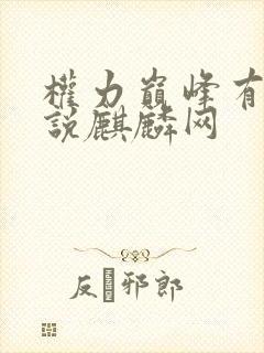 权力巅峰有声小说麒麟网