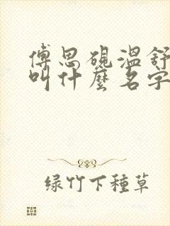 傅思砚温舒小说叫什么名字