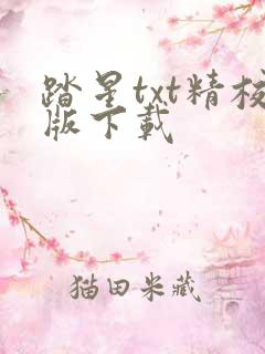 踏星txt精校版下载
