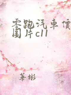 零跑汽车价格及图片c11