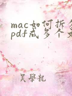 mac如何拆分pdf成多个文件