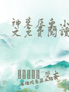 神墓辰东小说全文免费阅读免费