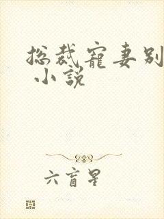 总裁宠妻别太坏 小说