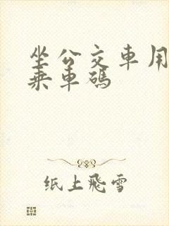 坐公交车用什么乘车码