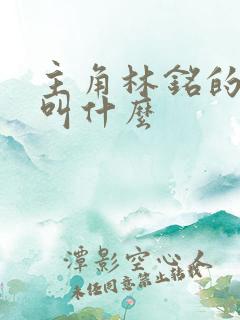 主角林铭的小说叫什么